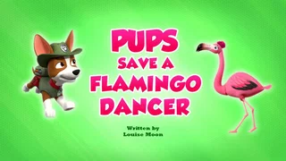 Image de La danse des flamants roses