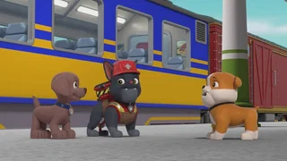 Image de Une visite surprise