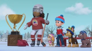 Image de Le match de hockey