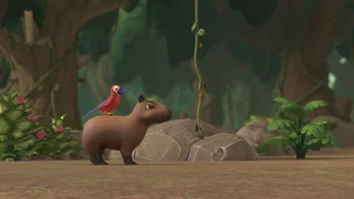 Image de Une bulle dans la jungle