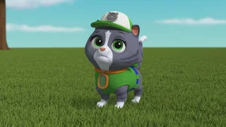 Image de Un chaton dans la Pat'Patrouille