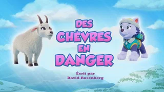 Image de Des chèvres en danger