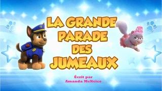 Image de La grande parade des jumeaux