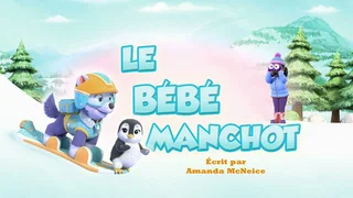 Image de Le bébé manchot