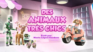 Image de Des animaux très chics
