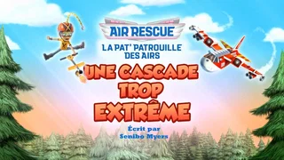 Image de La Pat' Patrouille des Airs : Une cascade trop extrême