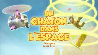 Image de Un Chaton dans l'espace