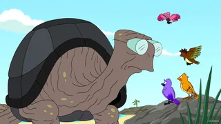 Image de Naturama