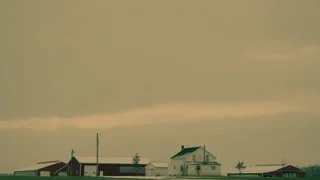 Image de Le monstre vert