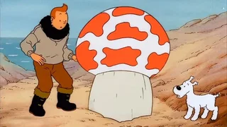 Image de L'Étoile mystérieuse