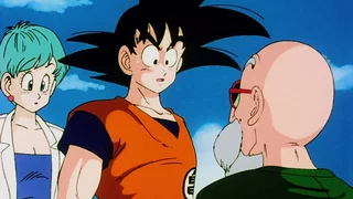 Image de Le Passé de Songoku