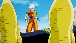 Image de Songoku abandonne
