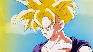 Image de Le Dernier Participant