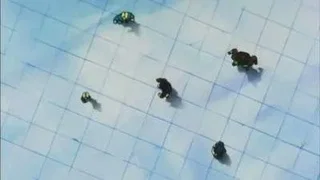 Image de Le tournoi reprend
