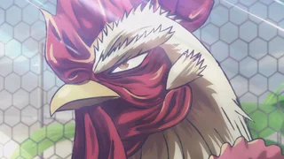 Image de L'Oiseau Rare