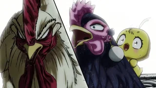 Image de Solide comme un Coq