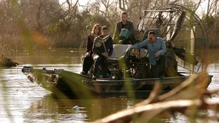 Image de Les dents du bayou