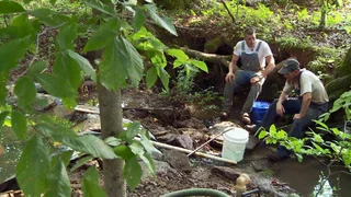 Image de Épisode 7