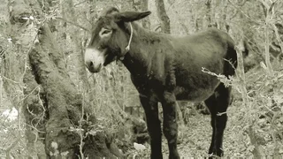 Image de Épisode 14