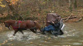 Image de Épisode 15