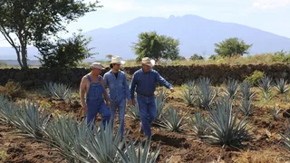 Image de Épisode 13