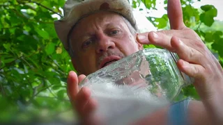 Image de Épisode 2