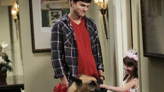 Image de Un gros sac de chien
