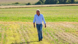 Image de Panique et pandémie