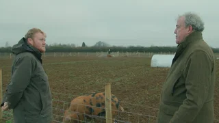 Image de Les porcs
