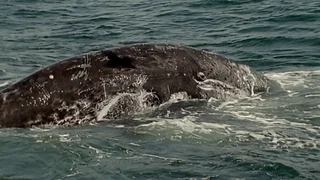 Image de Épisode 1