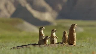 Image de Épisode 2