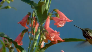 Image de Épisode 3