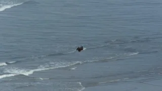 Image de Épisode 4
