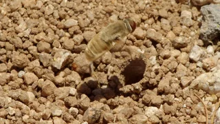 Image de Épisode 5