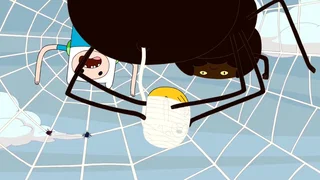 Image de Une araignée au plafond
