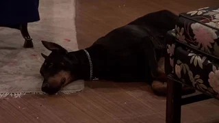 Image de Épisode 11