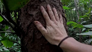Image de Épisode 3