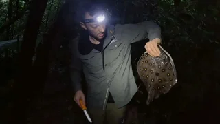 Image de Épisode 8