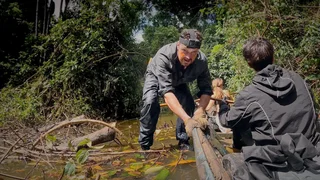Image de Épisode 11