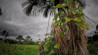 Image de Épisode 12