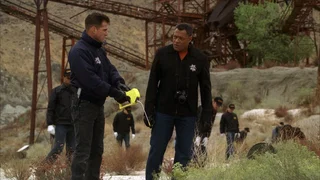 Image de Les Innocentes de Las Vegas