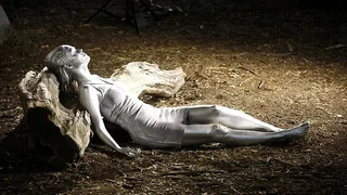Image de La Belle au bois d'argent