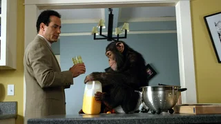 Image de Monk et le chimpanzé