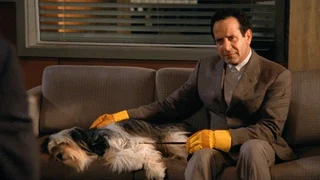 Image de Monk a du chien