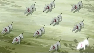 Image de Kiwi superstar