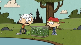 Image de Sauvetage de grenouilles