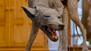 Image de Épisode 7