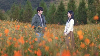 Image de Épisode 8