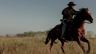 Image de Crise au ranch