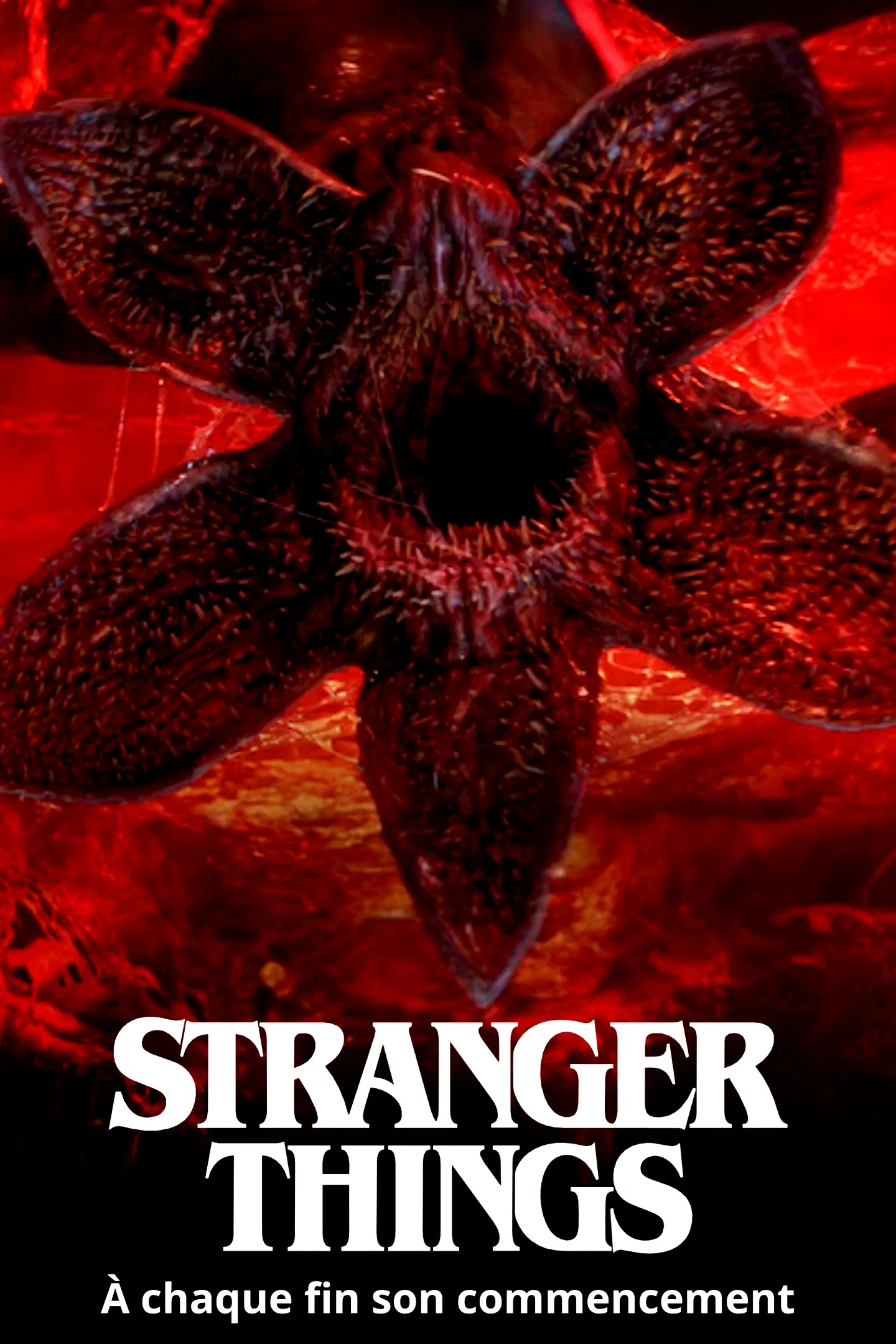Photo 2 de la série : Stranger Things